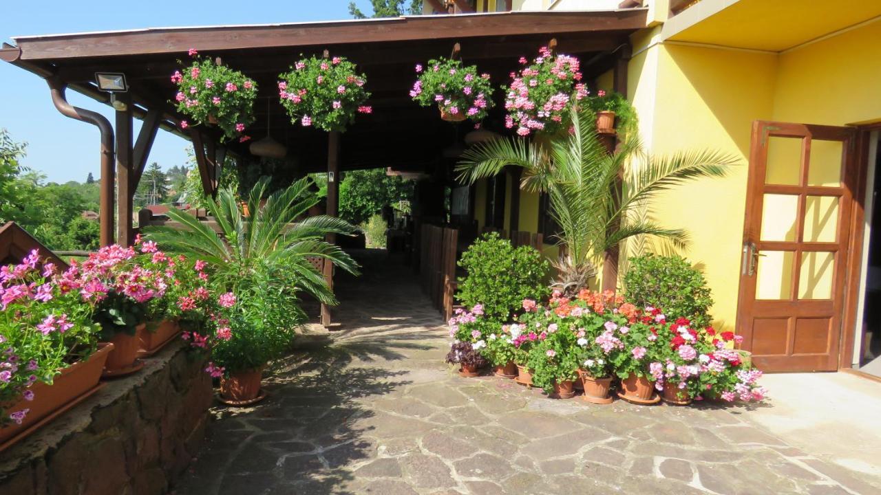 Guest house Prima Porta Vendeghaz Balatonalmadi